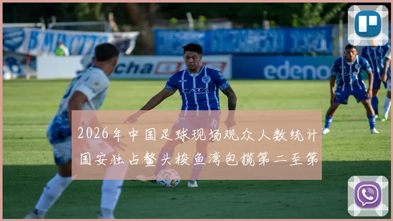 2026年中国足球现场观众人数统计国安独占鳌头梭鱼湾包揽第二至第七位